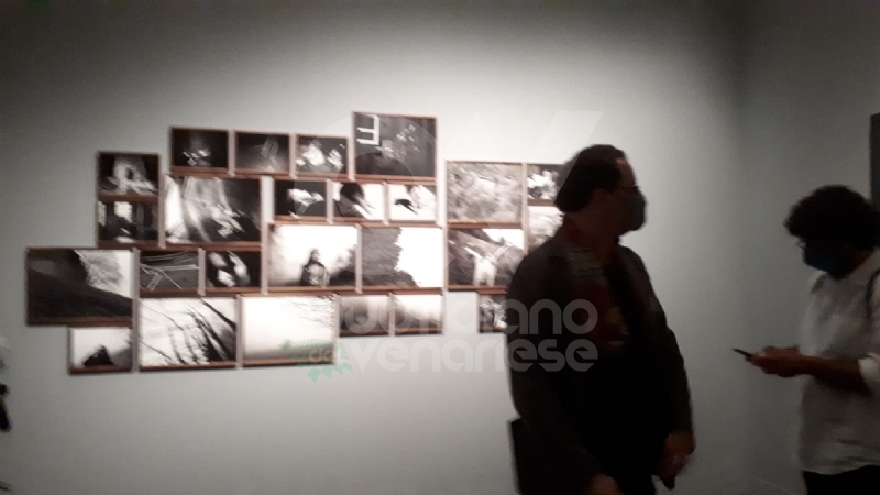 VENARIA - Le guerre immortalate negli scatti di Pellegrin nella mostra «Un'Antologia» alla Reggia - FOTO
