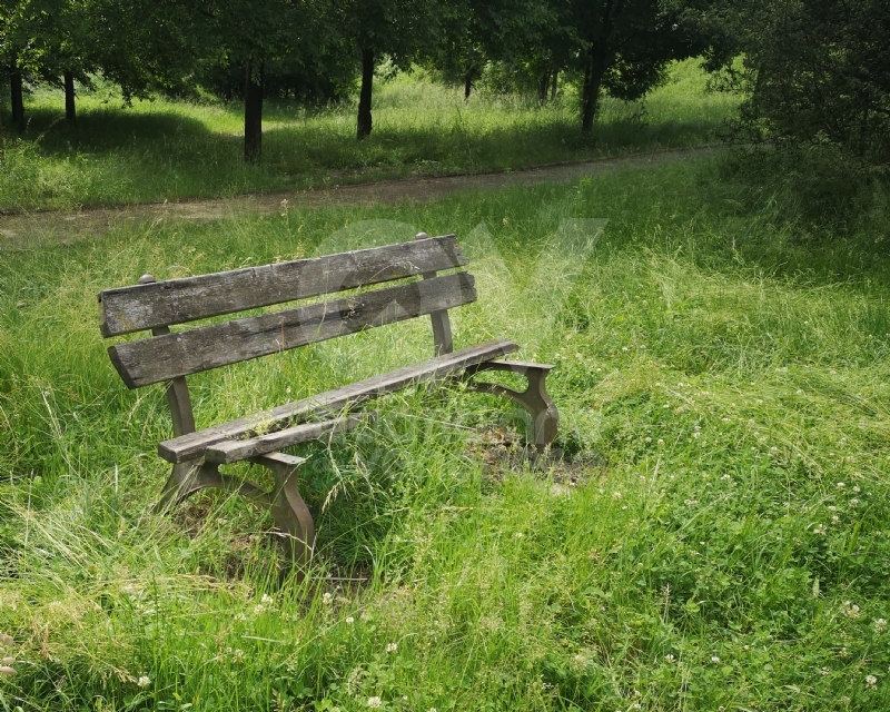 VENARIA - Il degrado di Corona Verde: tra atti vandalici, scarsa manutenzione e costruzioni mai finite