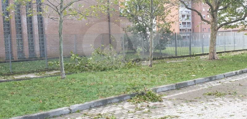 VENARIA-BORGARO-CASELLE-MAPPANO - Maltempo: tetti scoperchiati e alberi abbattuti