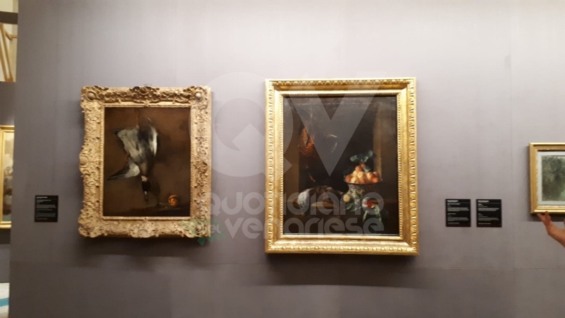 VENARIA - Anche la Reggia torna alla normalità: riapre i battenti con «Sfida al Barocco» FOTO