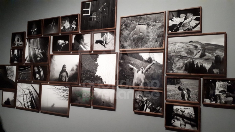 VENARIA - Le guerre immortalate negli scatti di Pellegrin nella mostra «Un'Antologia» alla Reggia - FOTO