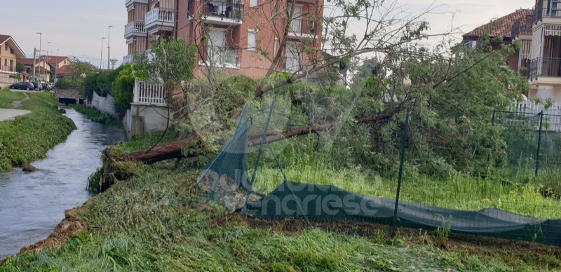 VENARIA-BORGARO-CASELLE-MAPPANO - Maltempo: tetti scoperchiati e alberi abbattuti