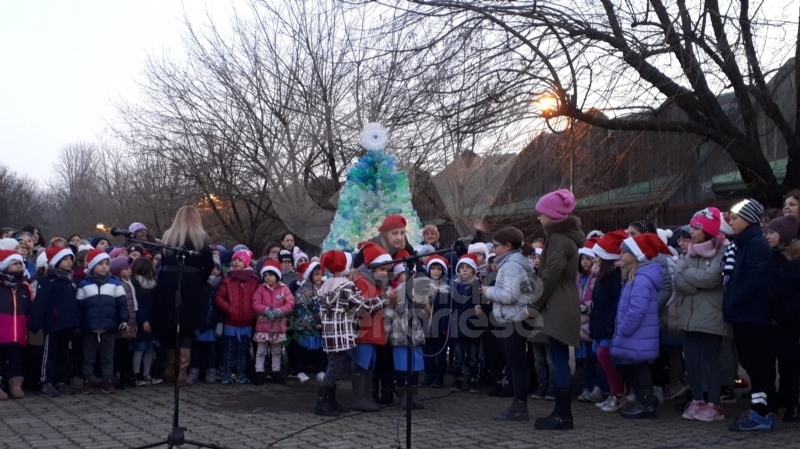 VENARIA - Alla Romero ecco l'albero creativo: realizzato con le bottiglie di plastica vuote