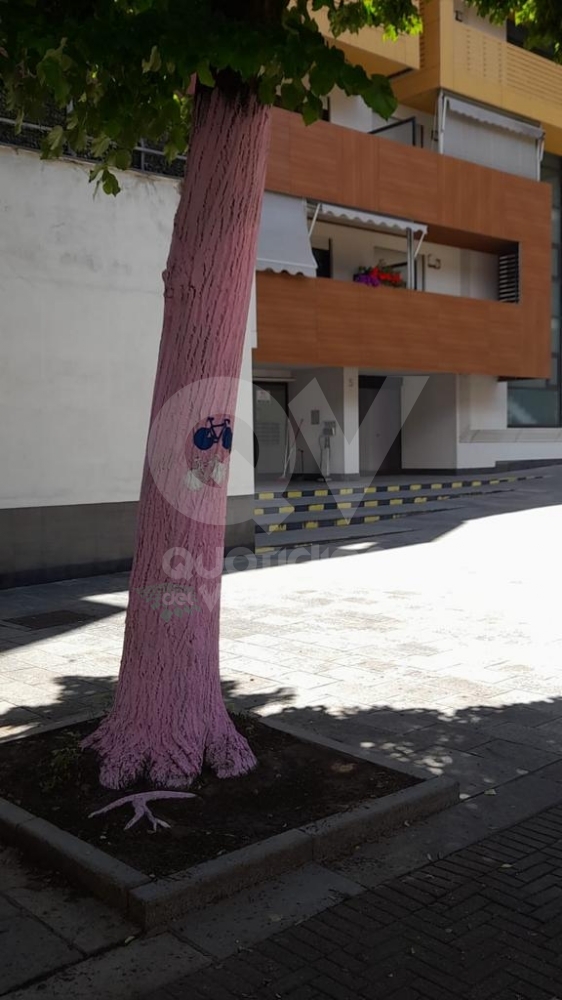 GIRO D'ITALIA A RIVOLI - Vince Denz: per la città una giornata indimenticabile - FOTO E VIDEO