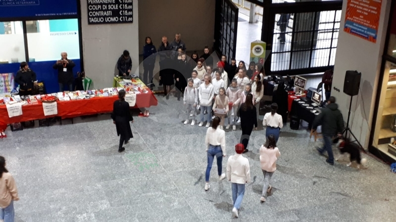VENARIA - La pioggia non ha fermato le iniziative per la Giornata contro la violenza sulle donne