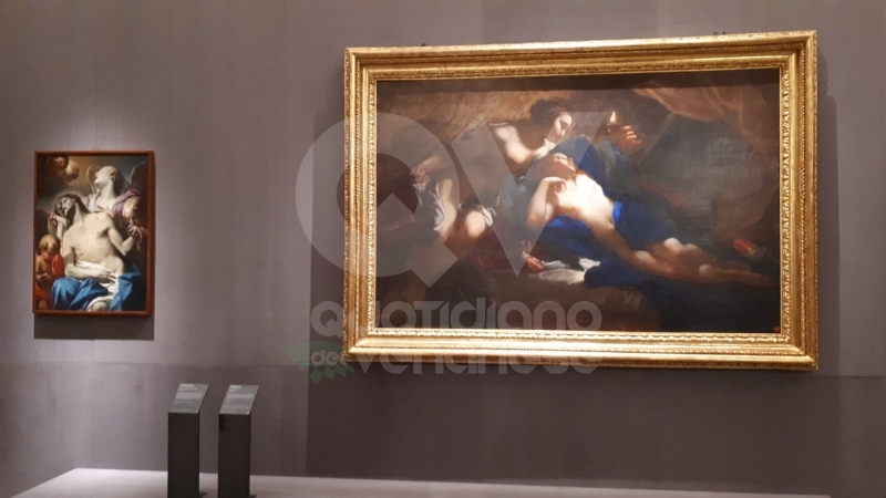 VENARIA - Anche la Reggia torna alla normalità: riapre i battenti con «Sfida al Barocco» FOTO