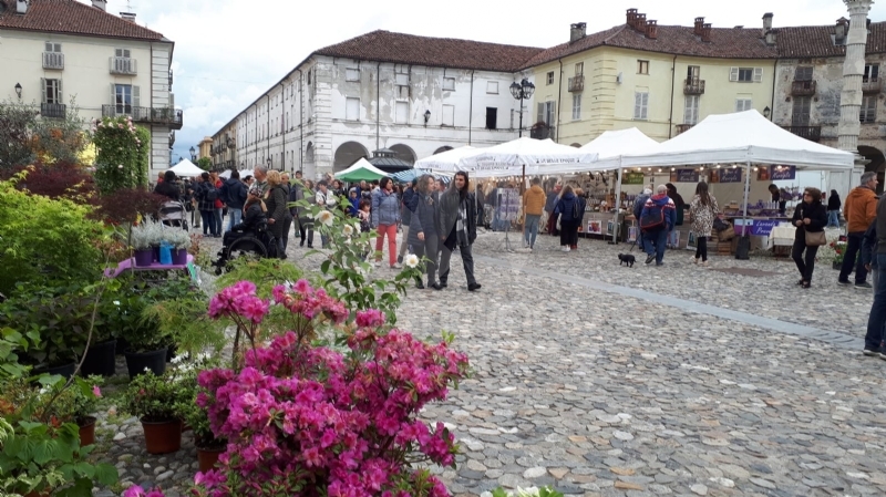 VENARIA - «Festa delle Rose»: un successo a metà per colpa della pioggia