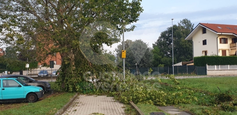 VENARIA-BORGARO-CASELLE-MAPPANO - Maltempo: tetti scoperchiati e alberi abbattuti
