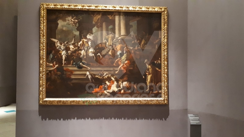 VENARIA - Anche la Reggia torna alla normalità: riapre i battenti con «Sfida al Barocco» FOTO