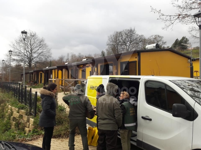 SAVONERA-VENARIA-COLLEGNO - L'Associazione Savonera ancora in aiuto delle zone terremotate