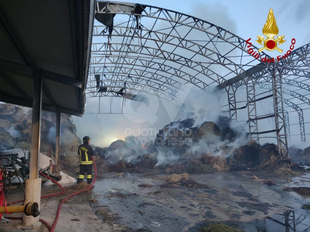 PIANEZZA - Incendio all'azienda agricola «La Primula»: distrutti 700 metri quadri di deposito fieno - FOTO