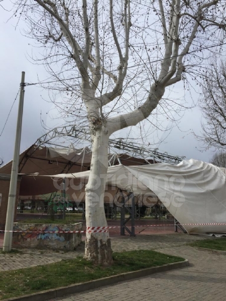 CASELLE - Il forte vento distrugge la tenda della tensostruttura del PratoFiera