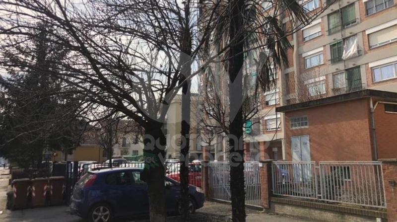 RIVOLI-GRUGLIASCO - Idioti in azione: bruciato il «villaggio felino» e alcuni alberi