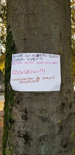 VENARIA - Cartelli e disegni per dire «no» all'abbattimento degli alberi in via Amati