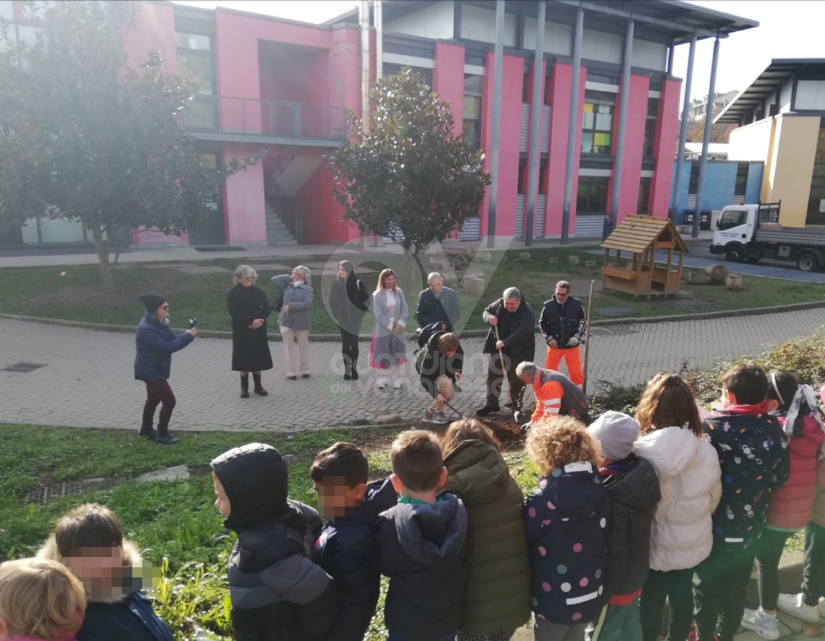 PIANEZZA - Alla primaria «Manzoni» successo per l'iniziativa «Un albero per il futuro» - FOTO
