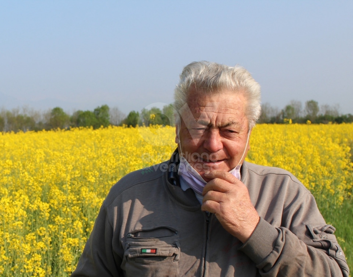 COLLEGNO - La città dice addio a Oreste Dentis, «il custode» dei campi di girasole di viale Certosa