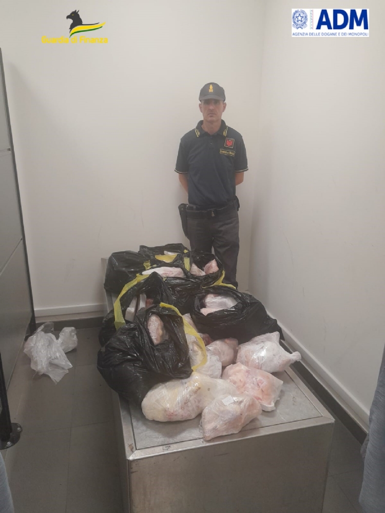 TORINO-CASELLE - Nei borsoni c'erano 64 chili di carne: sequestrati in aeroporto - FOTO