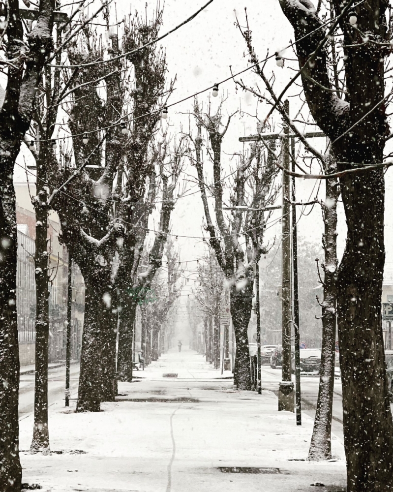 É ARRIVATA LA NEVE - Disagi in tangenziale e sulle strade: quando entrano in azione gli spazzaneve - FOTO