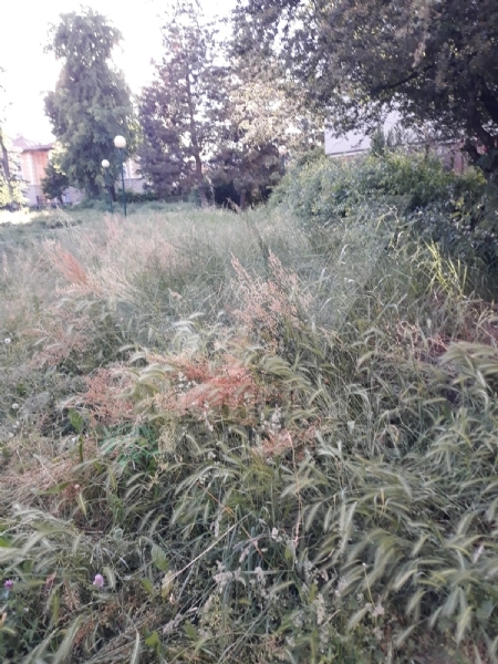 VENARIA - Erba alta, scarsa illuminazione e una materna con problemi...