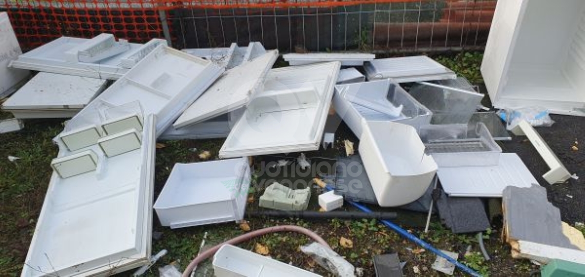 CASELLE - Elettrodomestici gettati al lago dei Cigni: discarica abusiva sequestrata e due denunciati - FOTO