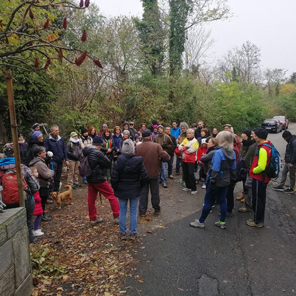 RIVOLI - Oltre 70 persone alla scoperta della collina morenica grazie a «Rivoli Città Attiva»