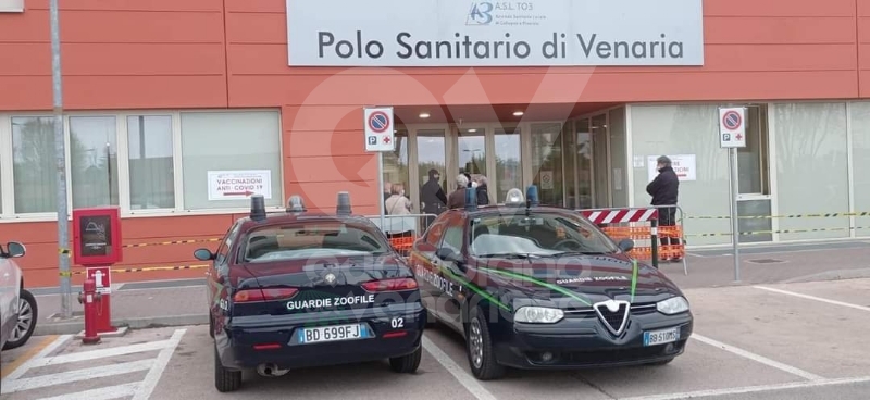 VENARIA - Il mondo del volontariato in aiuto all'Asl To3 nella gestione delle code al Polo Sanitario