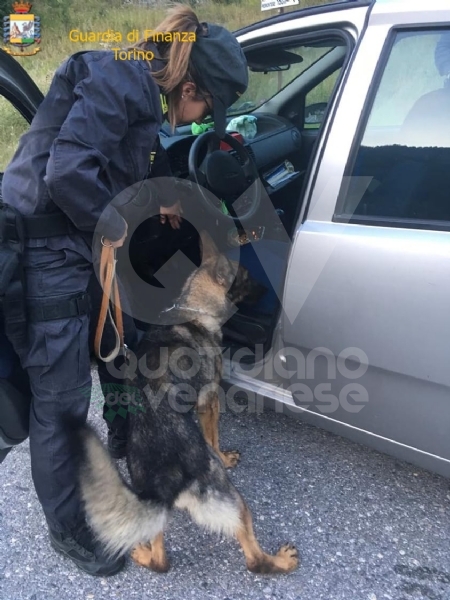 ALPIGNANO - La merce era pericolosa per la salute : maxi sequestro al mercato rionale