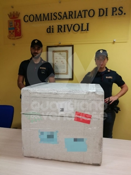 RIVOLI - Trova 19 kit per tamponi Coronavirus sul cavalcavia della tangenziale: riconsegnati all'Asl di Cuneo