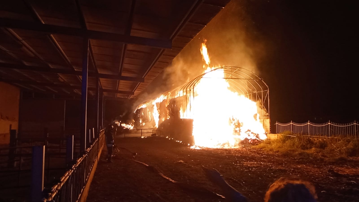 SAVONERA - Dopo l'incendio al fienile, la solidarietà di Coldiretti: «Siamo a disposizione» - FOTO