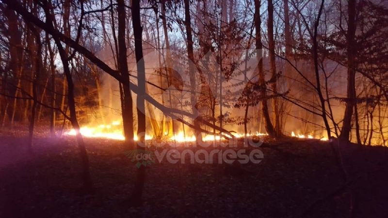 DRUENTO - Incendio boschivo in strada Rive: roghi spenti da pompieri, Aib e Protezione Civile