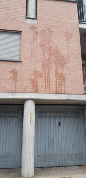 CASELLE-MAPPANO - Vandali in azione la notte di Halloween: torna il raid delle uova