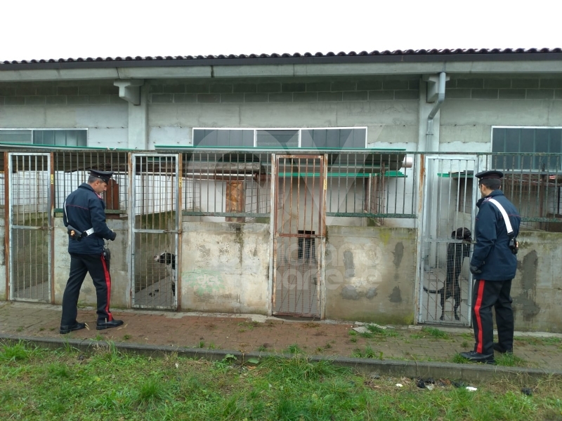 CANILE LAGER A MATHI - Più di trenta cani rinchiusi in locali fatiscenti, tra escrementi e rifiuti