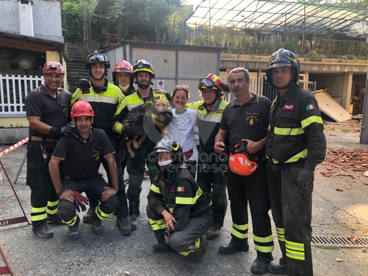 CROLLO PALAZZINA A TORINO - Il cane Ettore è stato trovato vivo dai vigili del fuoco - FOTO