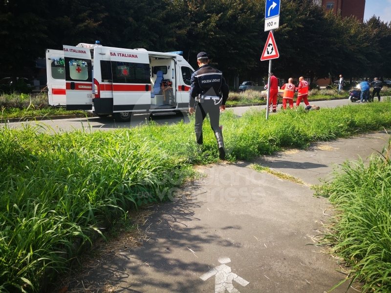 VENARIA - Entra un'ape nel casco e perde il controllo dello scooter: uomo finisce in ospedale