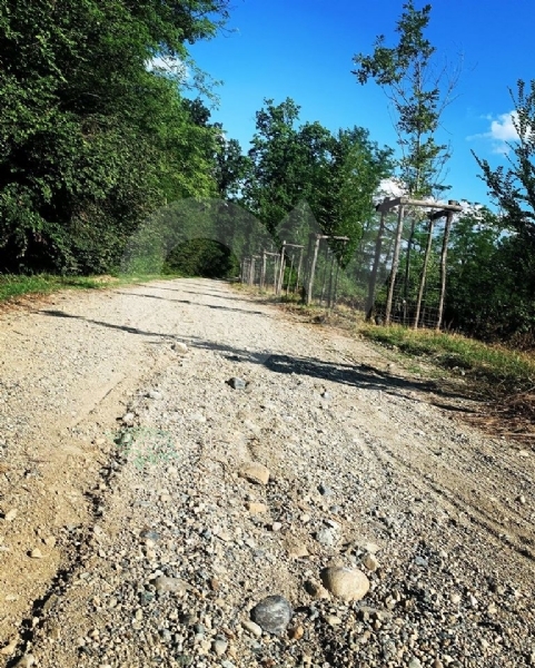 PARCO MANDRIA - Riaperto il Viale dei Roveri: era chiuso da oltre un mese, causa nubifragio