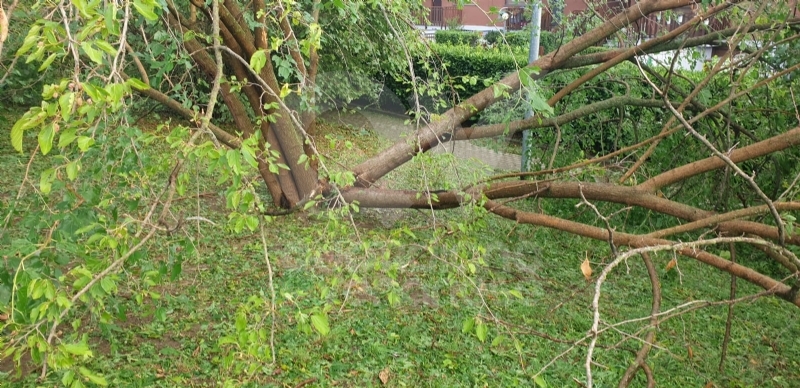 VENARIA-BORGARO-CASELLE-MAPPANO - Maltempo: tetti scoperchiati e alberi abbattuti