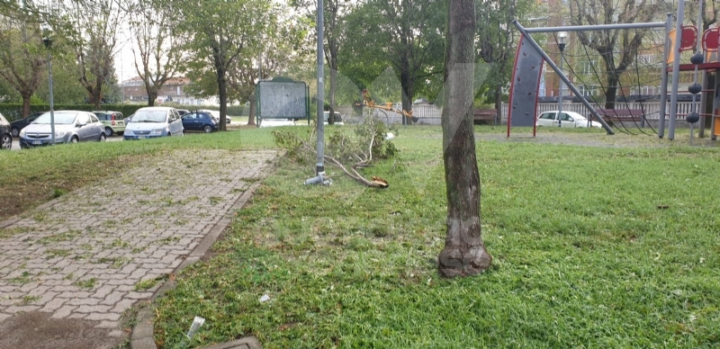 VENARIA-BORGARO-CASELLE-MAPPANO - Maltempo: tetti scoperchiati e alberi abbattuti