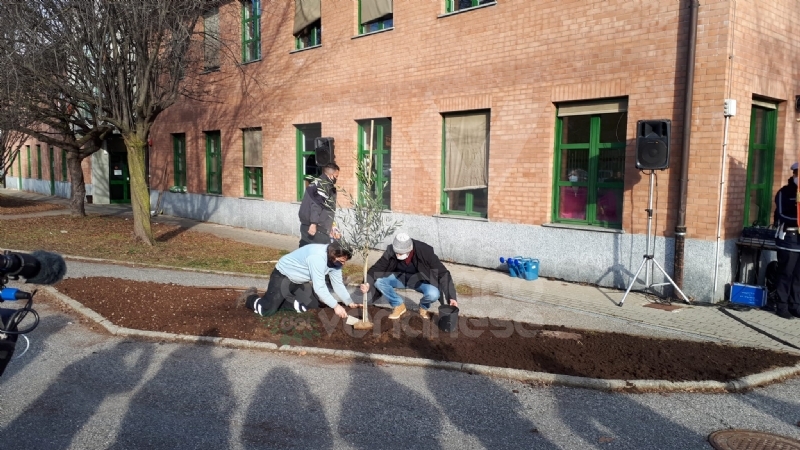 VENARIA - Alla scuola Lessona l'Ulivo di Gerusalemme per non dimenticare l'Olocausto - FOTO