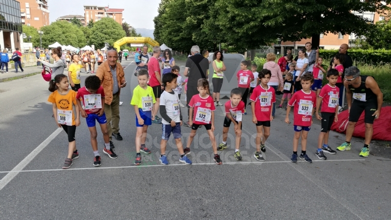 VENARIA - Che successo per la StraVenaria: le foto della manifestazione degli «Amici di Giovanni»