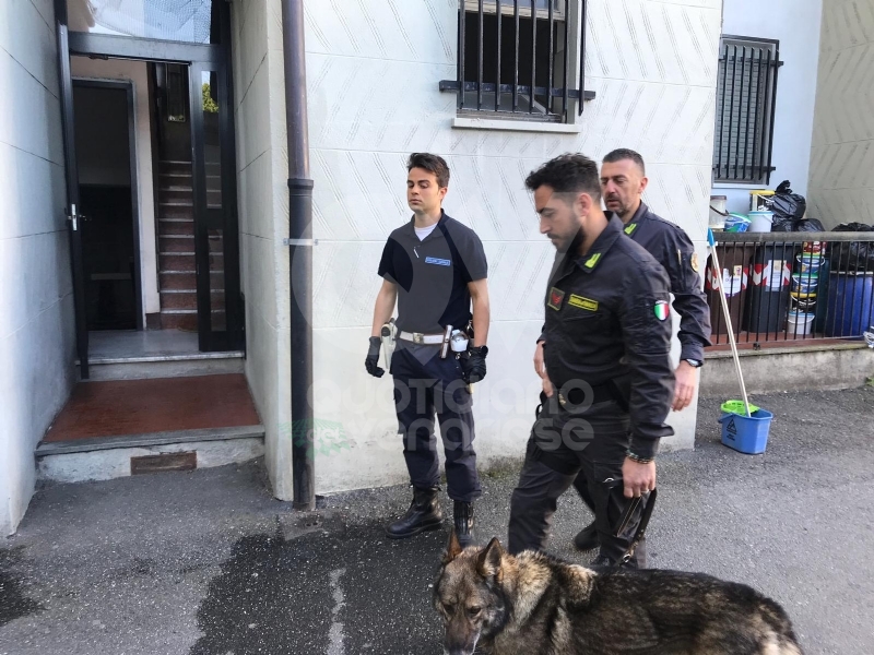 ALPIGNANO - Raid vandalici alla biblioteca: denunciati tre giovani da municipale e Finanza