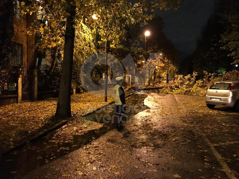 MALTEMPO - Albero e una insegna crollati sulle auto, strade allagate