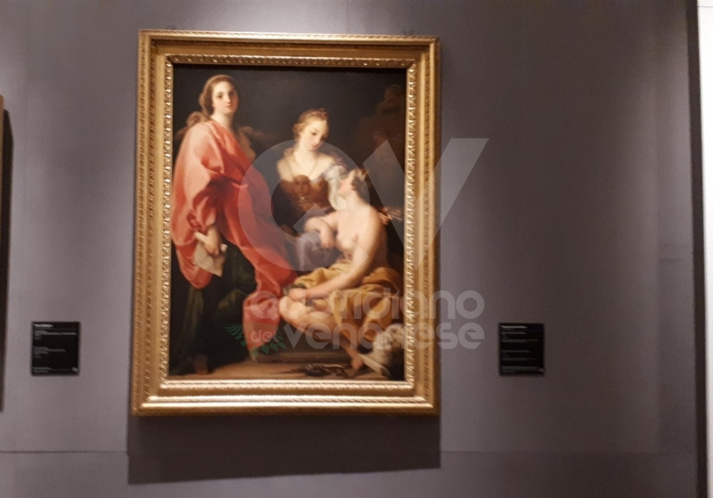 VENARIA - Anche la Reggia torna alla normalità: riapre i battenti con «Sfida al Barocco» FOTO