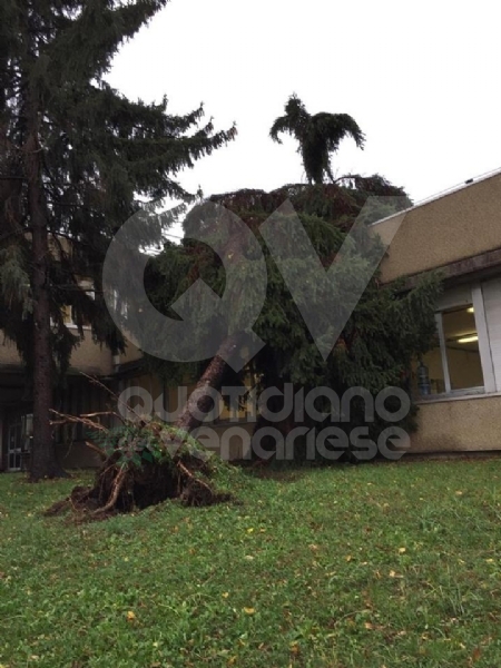 VENARIA - MALTEMPO: Parte la conta dei danni. Sopralluogo del sindaco in tutta la città