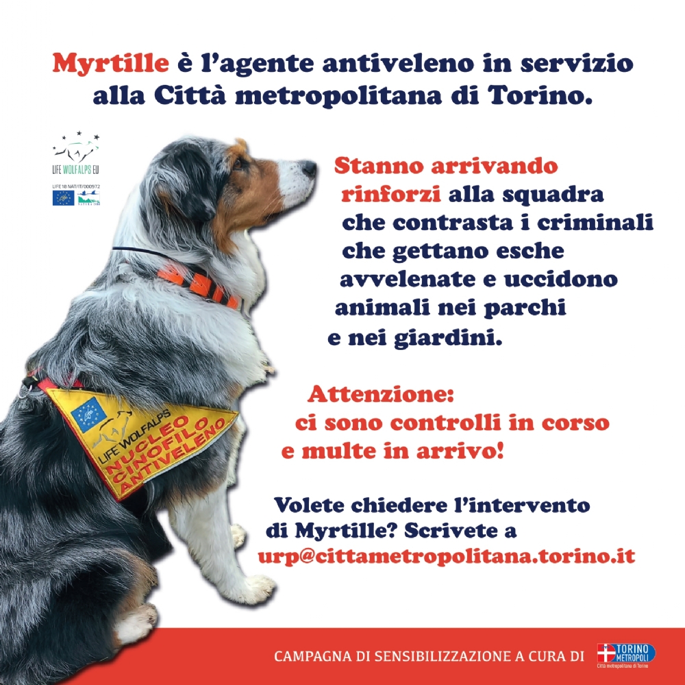 BOCCONI AVVELENATI - Partono i controlli di Città Metropolitana in tutti i parchi - FOTO