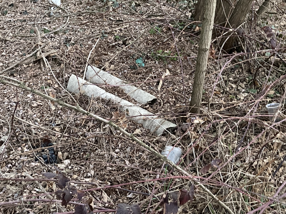 COLLEGNO - La denuncia di Lega e Fdi: «Una discarica abusiva in via San Martino» - FOTO