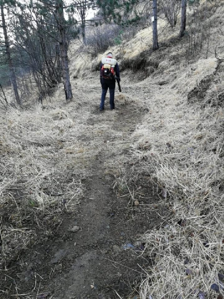 VALLI - Tempesta di Foehn in arrivo: raffiche tra 100 e 180 km/h. Pericolo incendi boschivi