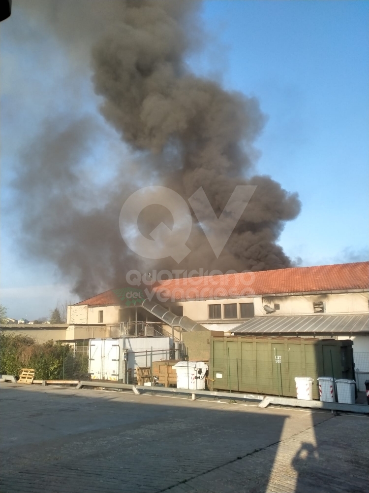 INCENDIO A RIVOLI - In fiamme il magazzino di un'azienda: vigili del fuoco in azione - FOTO