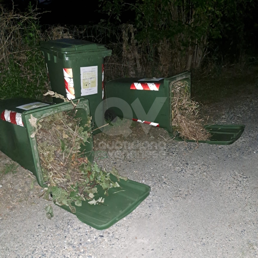 PIANEZZA - Vandali in azione: divelta una fontana, buttati a terra i bidoni dello sfalcio - FOTO