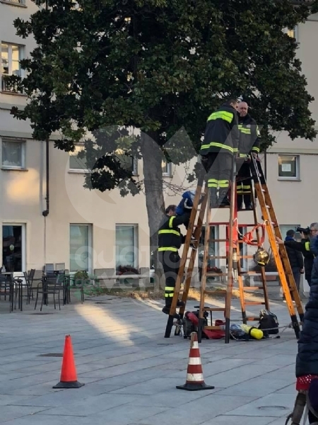 VENARIA - Vigili del fuoco per un pomeriggio: tanti bambini in piazza Vittorio con «Pompieropoli»
