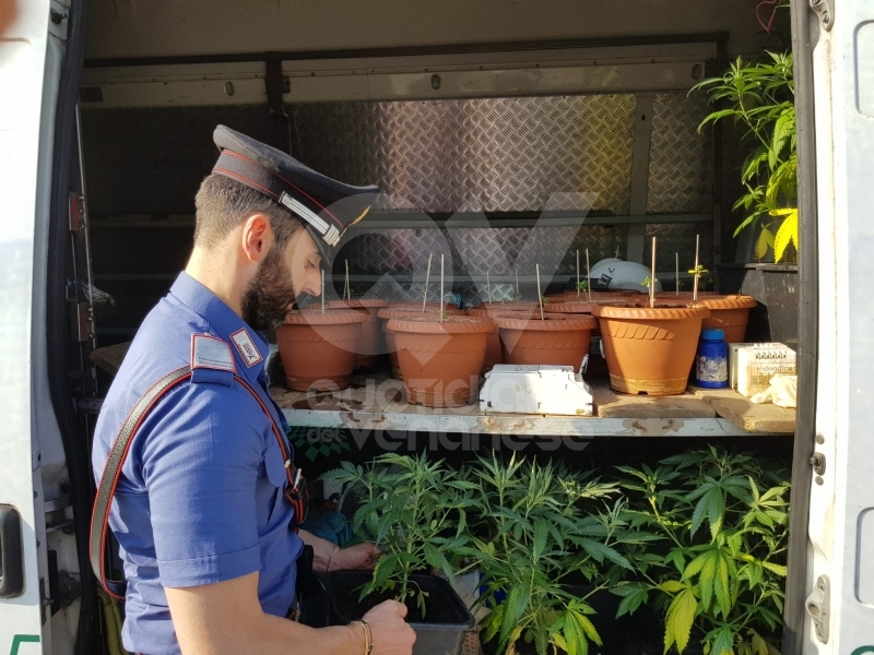 RIVOLI - In casa una serra per produrre cannabis "bio": tre rivolesi in manette FOTO E VIDEO